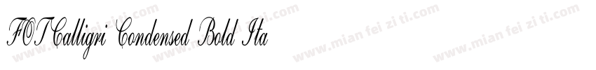 FOTCalligri Condensed Bold ItalicVe字体转换